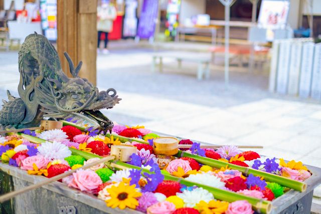 花手水の発祥　京都　長岡京　柳谷観音　楊谷寺　華やかで美しい季節の花手水