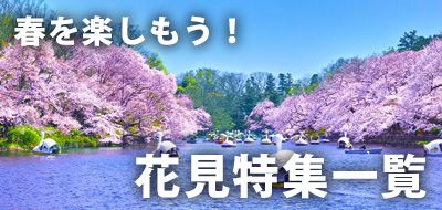 春を楽しもう！花見特集一覧