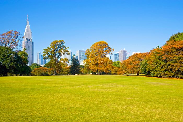 Shinjuku Gyoen