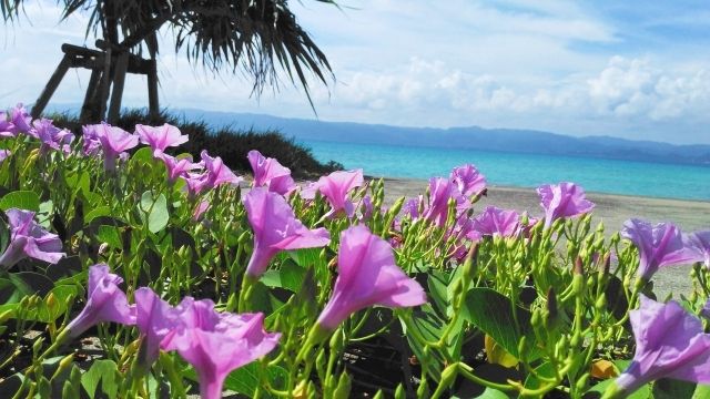 沖縄　鳩間島　観光