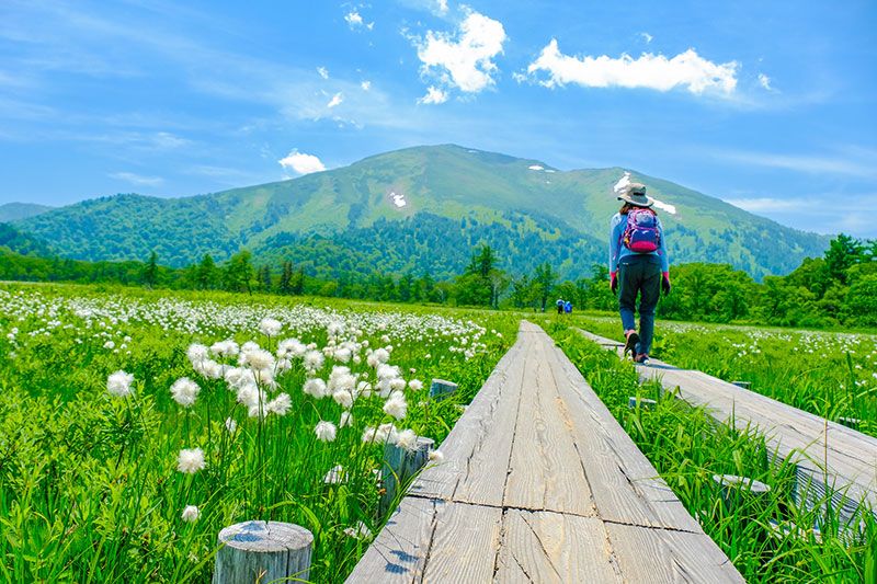 ハイキングとは？服装・持ち物やトレッキングとの違いなど初心者必見情報を紹介！