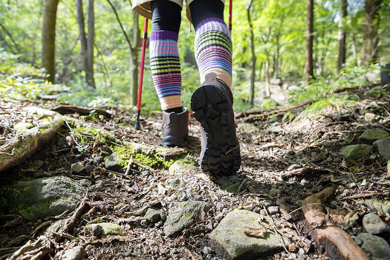 What is hiking? Introducing must-see information for beginners, such as what to wear, what to bring, and how it differs from trekking!