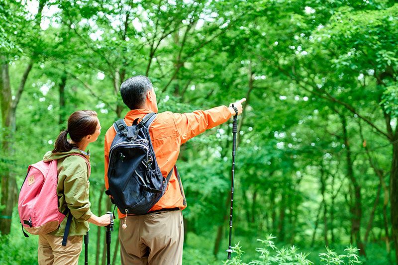 What is hiking? Introducing must-see information for beginners, such as what to wear, what to bring, and how it differs from trekking!