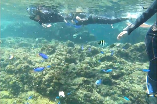 Enjoying snorkeling at Hirizo Beach