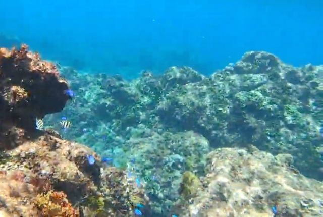 Enjoying snorkeling at Hirizo Beach