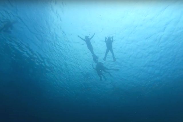 在 Hirizo 海灘浮潛時用水下相機拍攝