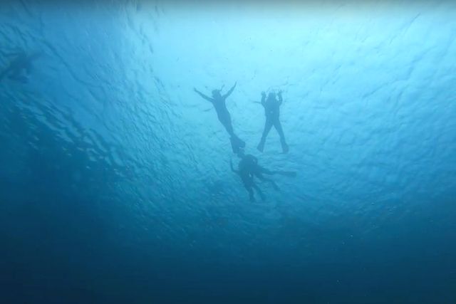 ヒリゾ浜シュノーケリング中に水中カメラで撮影