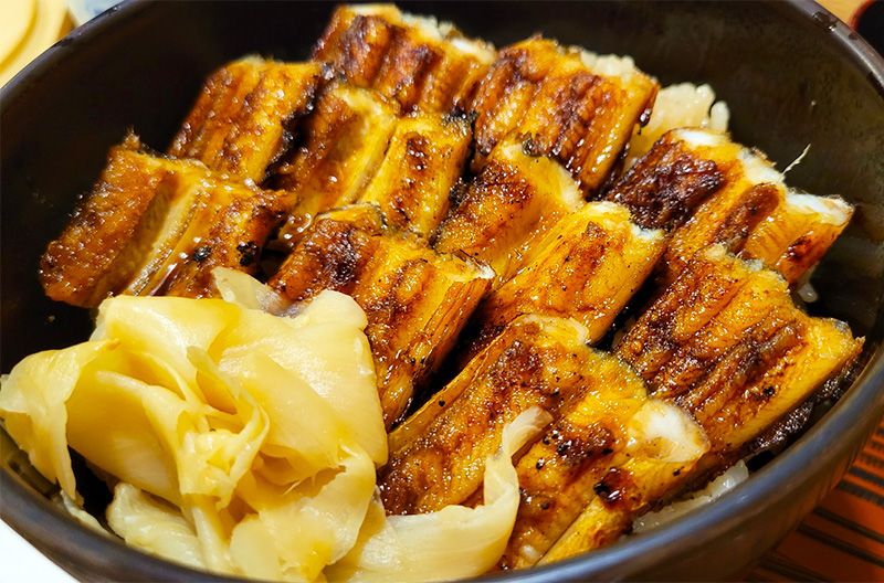 廣島觀光推薦示範路線 美食 星子飯 上野 老字號日本料理店 星子飯的發源地