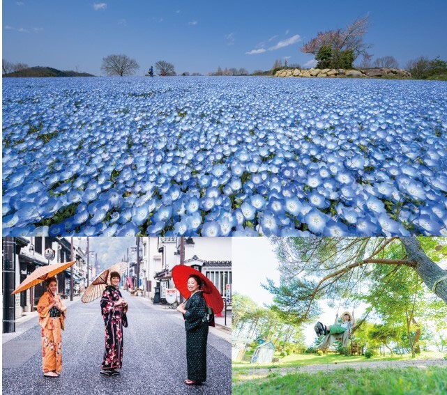 [북 빈고 관광 연계 협의회 · 히로시마 현 후추시 · 세라 정 · 신석 고원 도시] 역사 마을 꽃 마을 자연 마을을 즐기는 체험 투어를 소개