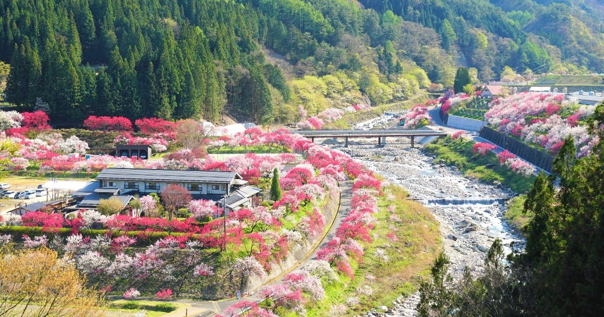 แผนที่ท่องเที่ยวฮิรุกามิออนเซ็น | สถานที่แนะนำและรูปภาพอาหาร