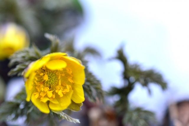 4月 北海道福壽莊