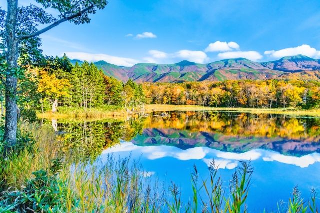 北海道　絶景スポット　知床五湖　紅葉