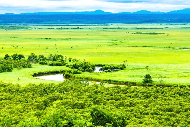 　北海道　絶景スポット　釧路湿原