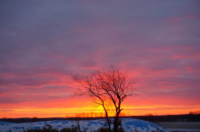 12月の北海道旅行がおすすめの理由　2.