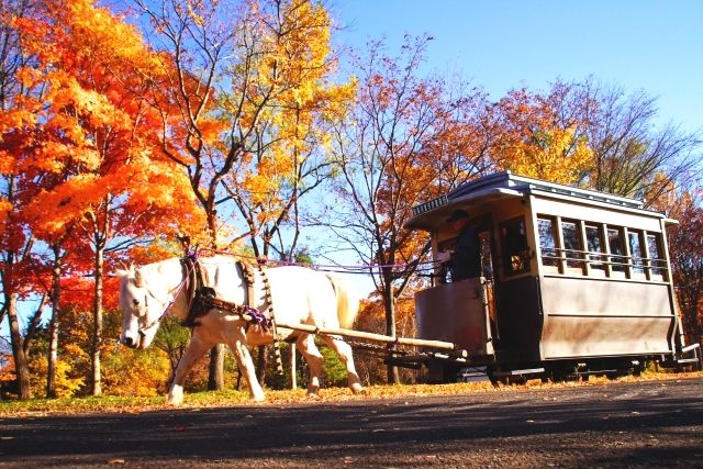 Autumn Hokkaido Pioneering Village