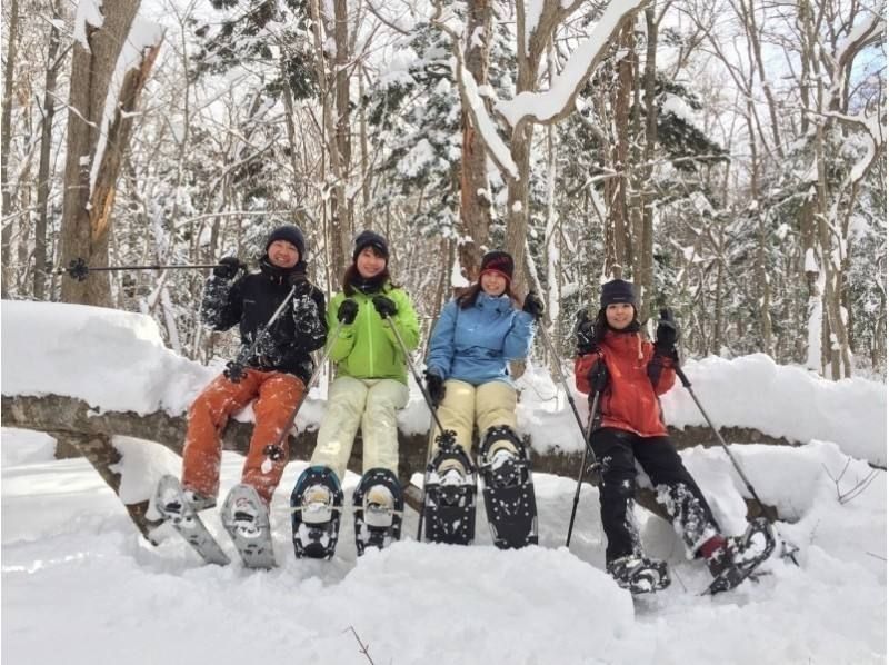 people enjoying snowshoeing