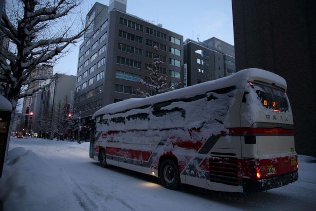 Bus tour