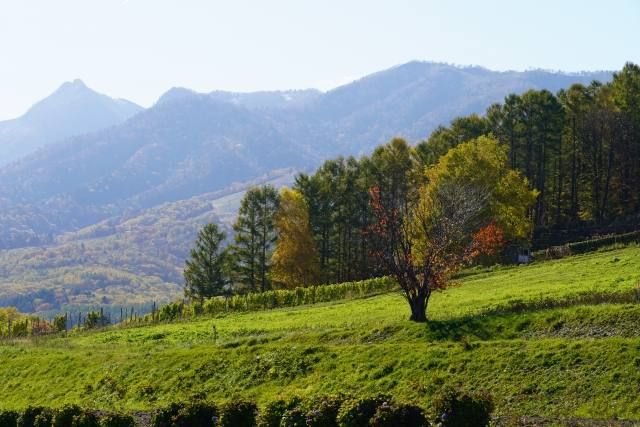 Reasons why a trip to Hokkaido in October is recommended 1.