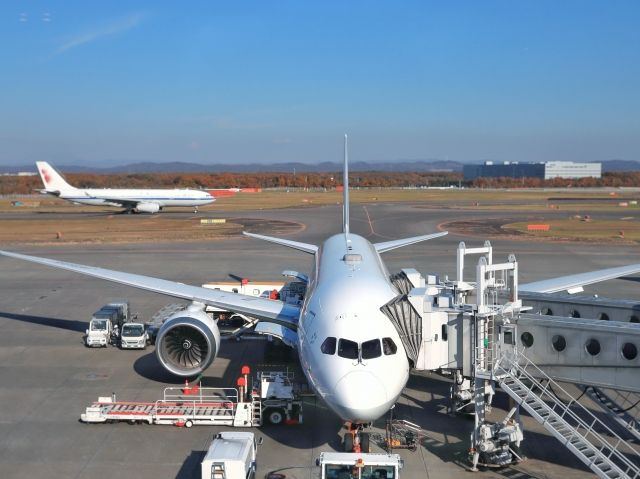 홋카이도 신 치토세 공항의 여객기