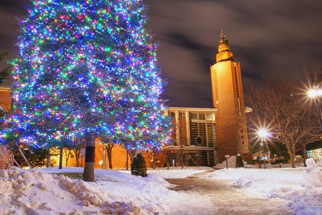Christmas tree illumination at Sapporo Beer Garden, Hokkaido