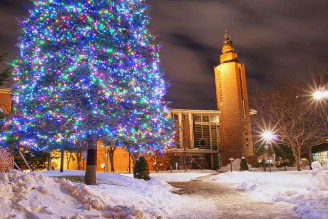 北海道・札幌ビール園にあるクリスマスツリーイルミネーション