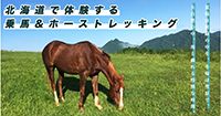 【北海道・乗馬&ホーストレッキング】人気体験ツアープラン&おすすめ乗馬クラブ・ショップ情報