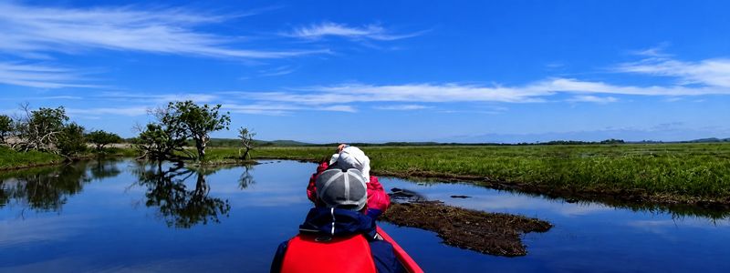 釧路湿原カヌーおすすめツアー&人気ランキングを徹底紹介！