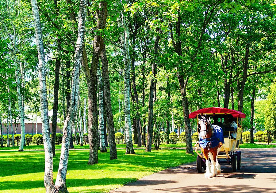 Hokkaido in the summer: Lake Shikotsu sightseeing. Excellent transparency! Activities to enjoy the blue waters of Lake Shikotsu. Experience leisure. Popular facilities.