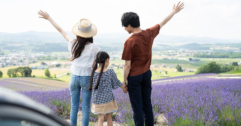 北海道观光出租车免费计划包车费用是多少？