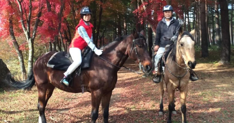 horse riding in Yamanashi in the autumn
