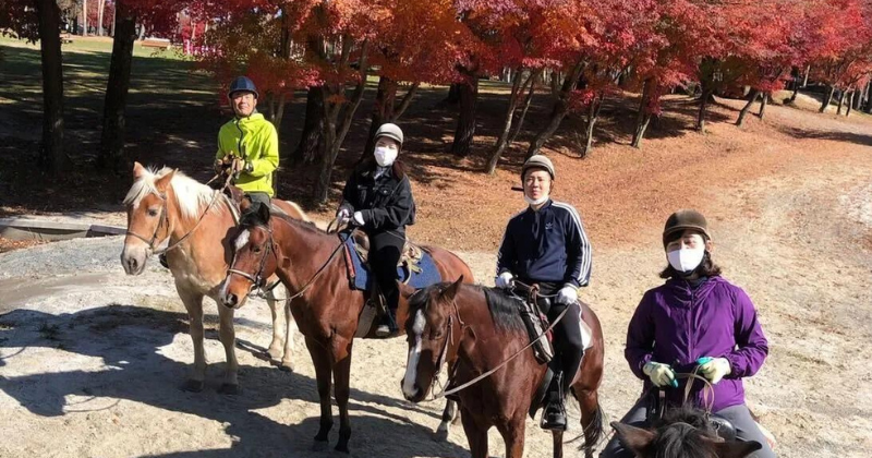 horse riding in Yamanashi in the autumn