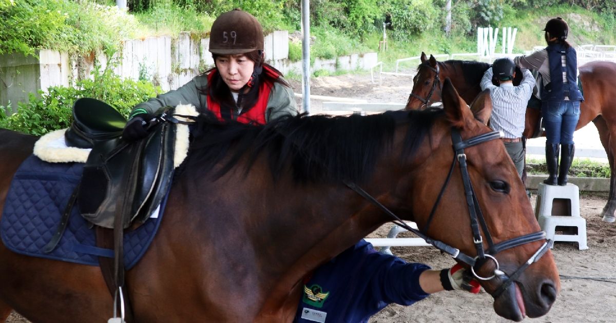 乗馬体験 関西で安い＆おすすめの体験【大阪・兵庫・京都・奈良】の画像