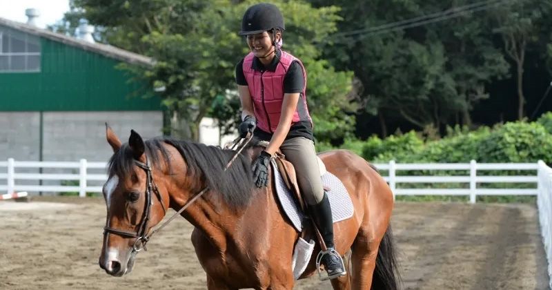 関東の乗馬初心者におすすめな日帰り体験プランを徹底紹介！の画像