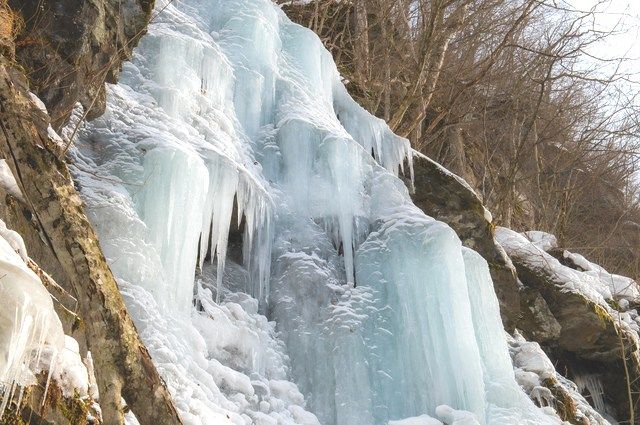 Oirase mountain stream / Aomori