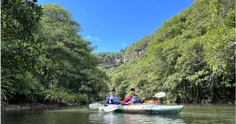 Iriomote Island Canoe / Kayak Experience Tour ความนิยม & แผนแนะนำ แนะนำอย่างละเอียด!