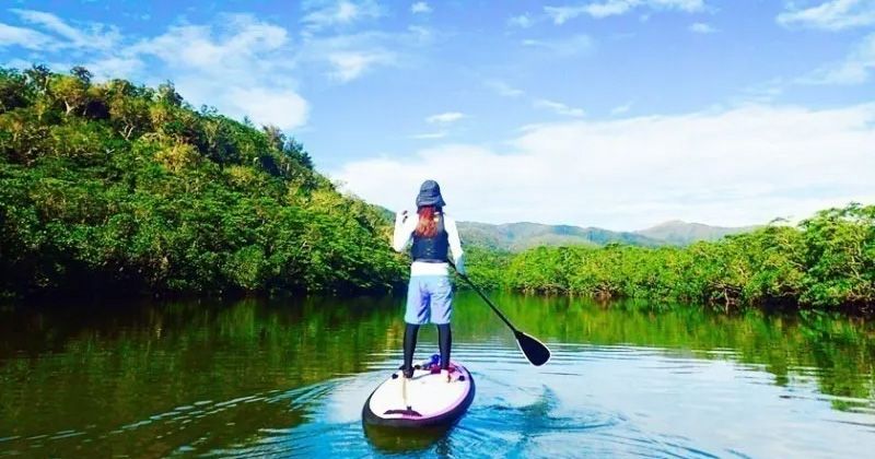 西表島的紅樹林是什麼？全面介紹獨木舟,皮划艇,SUP 推薦遊輪之旅！的影像