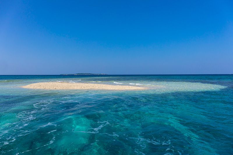 ทัวร์ดำน้ำตื้น(Snorkeling) เกาะอิริโอะโมะเตะ อันดับแนะนำและความนิยม