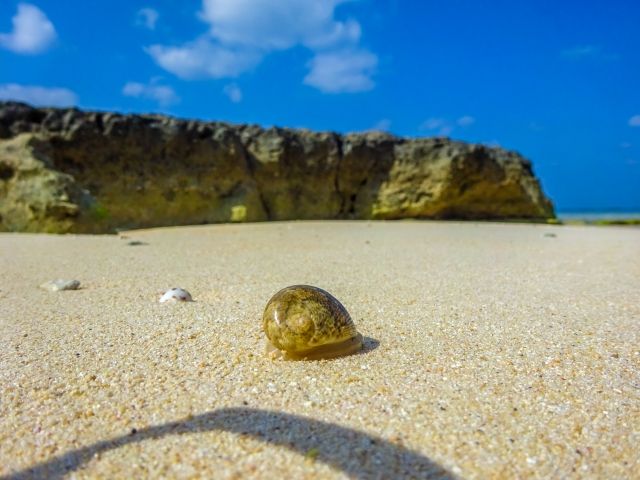 Beautiful sandy beach of Okinawa "Hatoma Island"