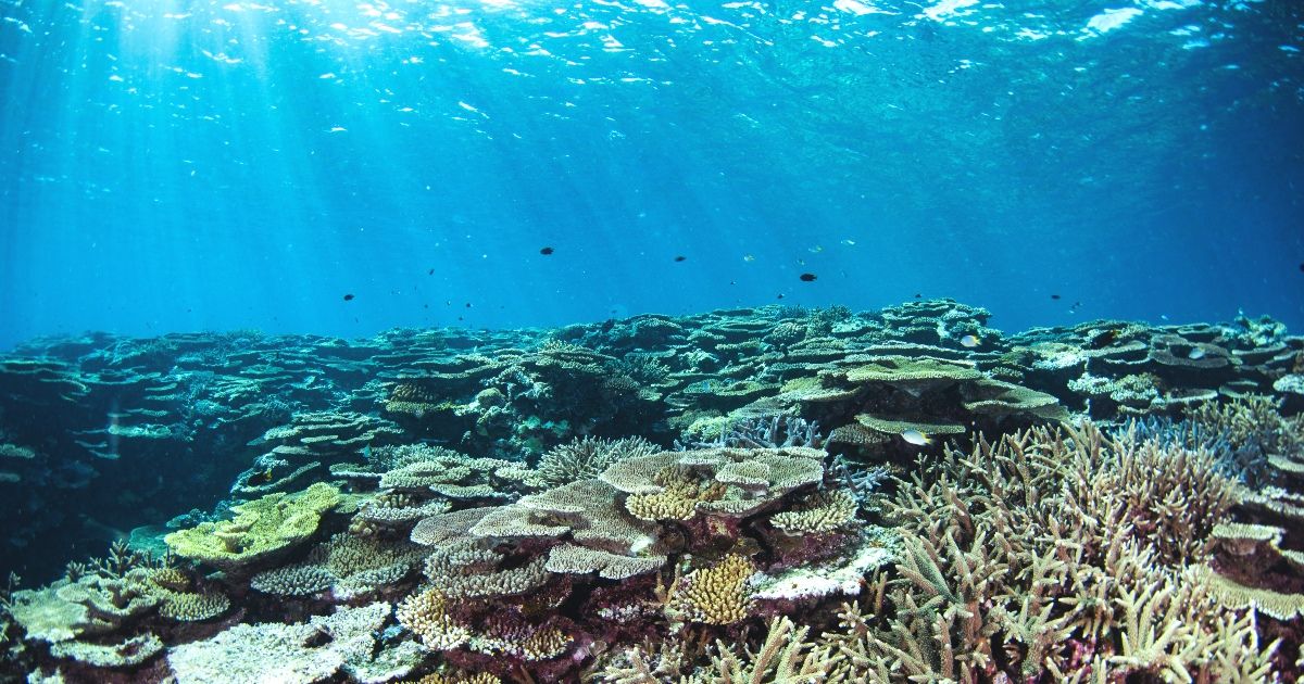 西表岛潜水 | 季节及推荐景点和旅游