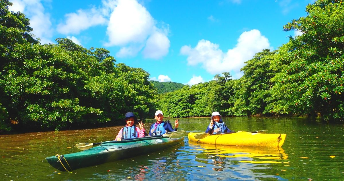 เรือคายัคเกาะอิริโอะโมะเตะแนะนำทัวร์ครึ่งวันและเต็มวัน