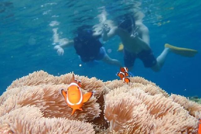 ทัวร์ดำน้ำตื้นดำเนินการโดย Ishigaki Seaside Hotel ผู้ประกอบการบนเกาะอิชิงากิ จังหวัดโอกินาว่า