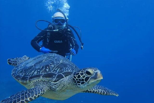 A diving experience tour conducted by Ishigaki Seaside Hotel, a business operator on Ishigaki Island, Okinawa Prefecture
