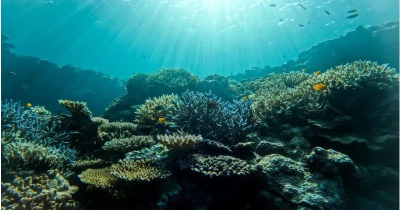 石垣岛和宫古岛哪个好？全面介绍适合家庭和情侣的旅行方案！