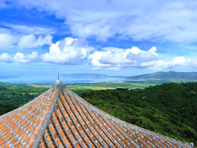 版纳公园天文台俯瞰翡翠海的景色