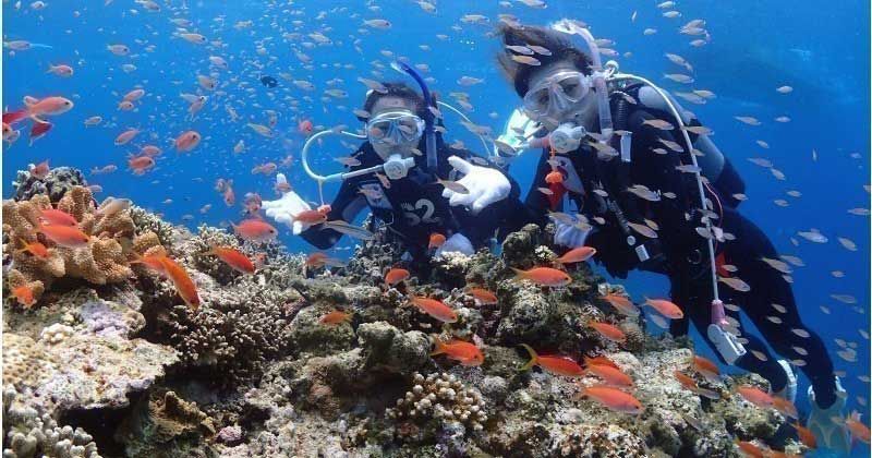 石垣岛推薦的潛水商店清單和熱門旅遊排名