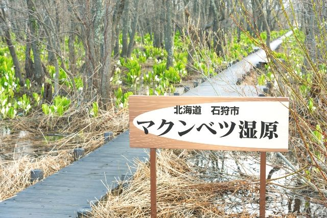 Hokkaido Tourist Spot Makunbetsu Marsh