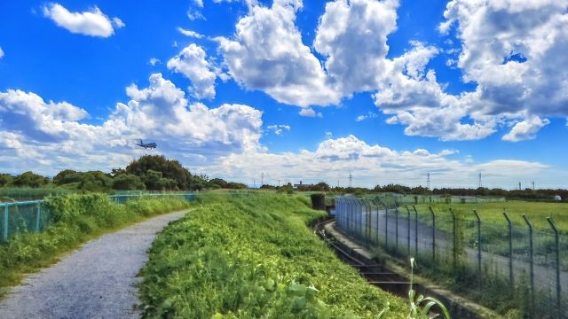 千里川沿いの土手