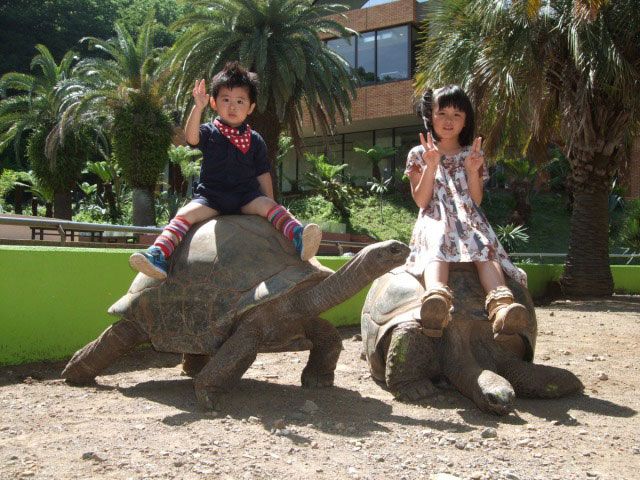 體驗動物園