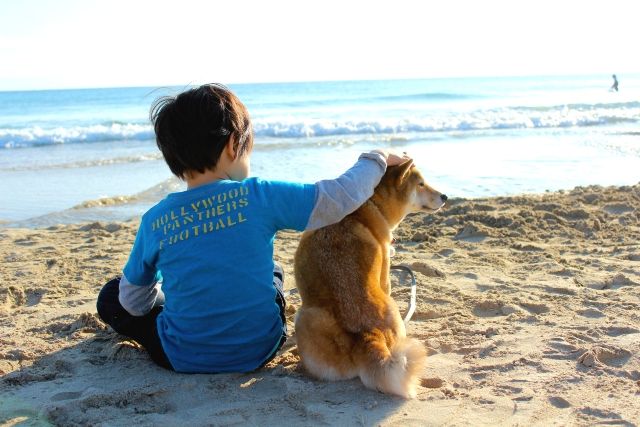 伊豆　海　子供と犬　犬連れ　旅行