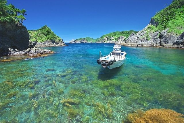 静岡・伊豆「ハンマーズアカデミー」　伊豆の海　シュノーケリング・ダイビング体験